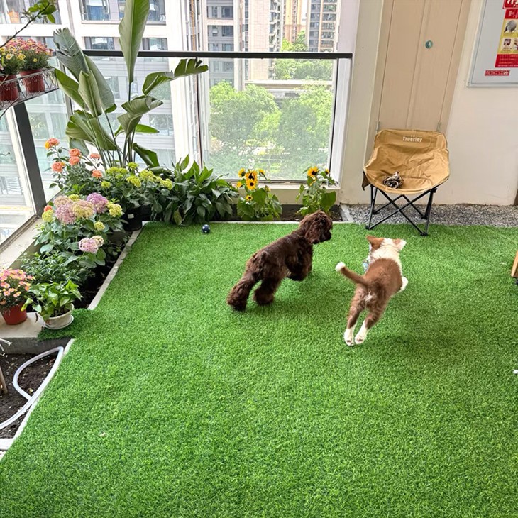 Outdoor Artificial Turf best